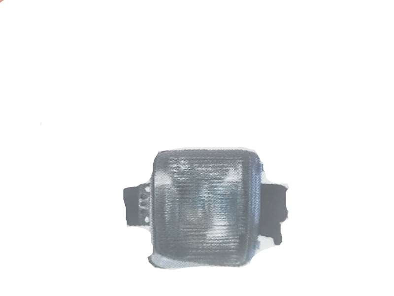 Isuzu GIGA 1997-on - Park Light PN: IZ094CL